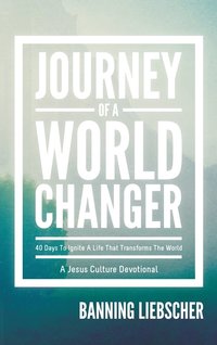 bokomslag Journey of a World Changer