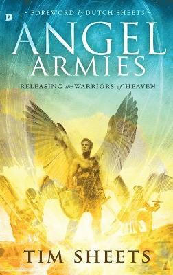 Tim Sheets - Angel Armies, Inbunden