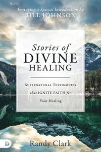 bokomslag Stories Of Divine Healing