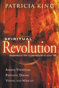 bokomslag Spiritual Revolution