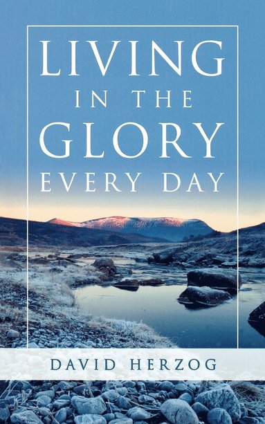 David Herzog - Living in the Glory Every Day, Häftad