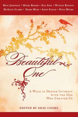 bokomslag Beautiful One: A Walk in Deeper Intimacy with the One Who Created Us