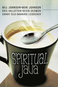 bokomslag Spiritual Java