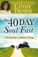 bokomslag 40 Day Soul Fast: Your Journey to Authentic Living