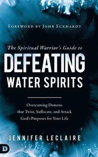 bokomslag The Spiritual Warrior's Guide to Defeating Water Spirits