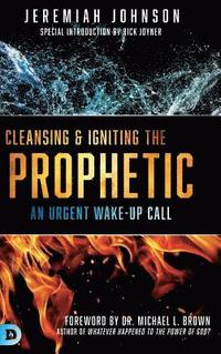 bokomslag Cleansing and Igniting the Prophetic