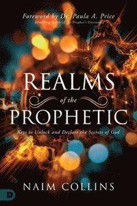 bokomslag Realms of the Prophetic