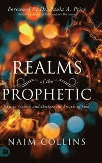 bokomslag Realms of the Prophetic