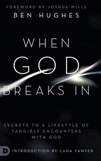 bokomslag When God Breaks In