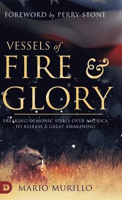 bokomslag Vessels of Fire and Glory