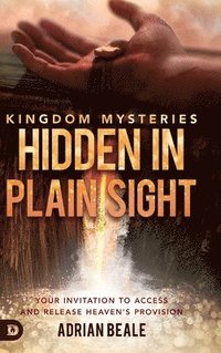 bokomslag Kingdom Mysteries