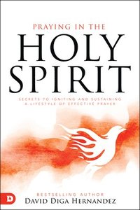 bokomslag Praying in the Holy Spirit
