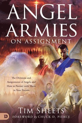 Tim Sheets - Angel Armies on Assignmnet, Häftad
