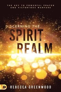 bokomslag Discerning the Spirit Realm