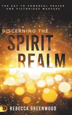 bokomslag Discerning the Spirit Realm