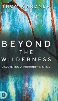bokomslag Beyond the Wilderness