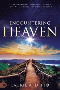bokomslag Encountering Heaven