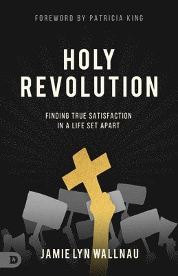 bokomslag Holy Revolution