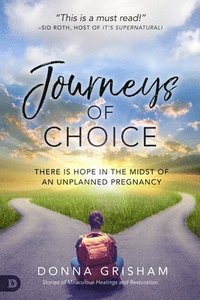 bokomslag Journeys of Choice