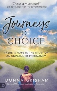 bokomslag Journeys of Choice