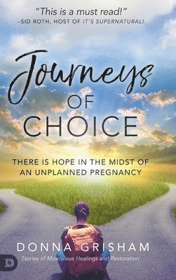 bokomslag Journeys of Choice