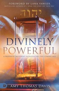 bokomslag Divinely Powerful