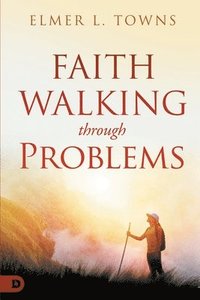 bokomslag Faith Walking Through Problems
