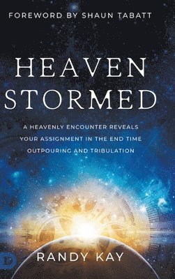 bokomslag Heaven Stormed