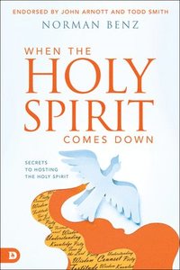 bokomslag When the Holy Spirit Falls