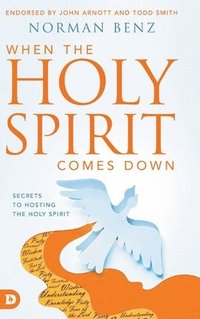 bokomslag When the Holy Spirit Comes Down