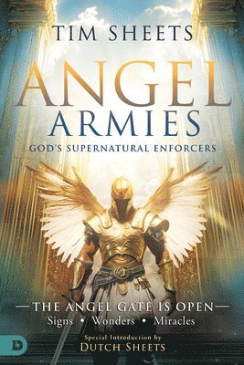 Tim Sheets - Angel Armies: God's Supernatural Enforcers, Häftad