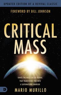 bokomslag Critical Mass