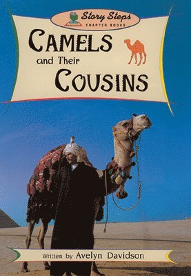 Camels and Their Cousins