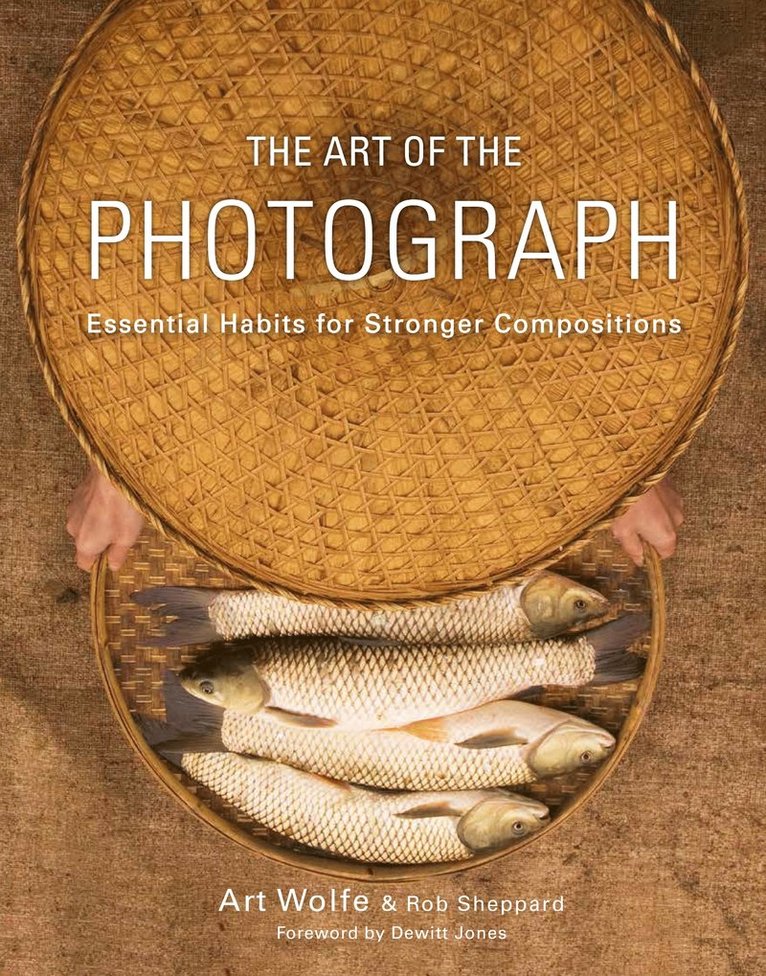 The Art of the Photograph: Essential Habits for Stronger Compostitions 1