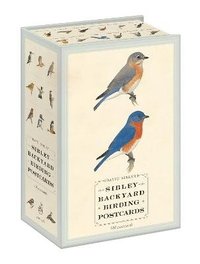 bokomslag Sibley Backyard Birding Postcards