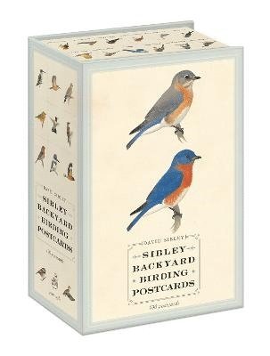 Sibley Backyard Birding Postcards 1