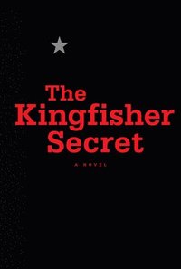 bokomslag The Kingfisher Secret