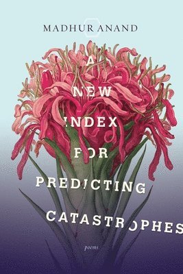 A New Index for Predicting Catastrophes 1