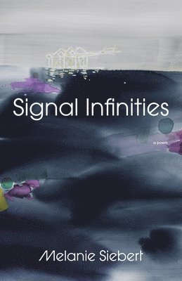 bokomslag Signal Infinities