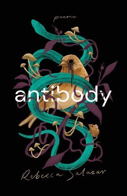 antibody 1