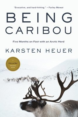 bokomslag Being Caribou