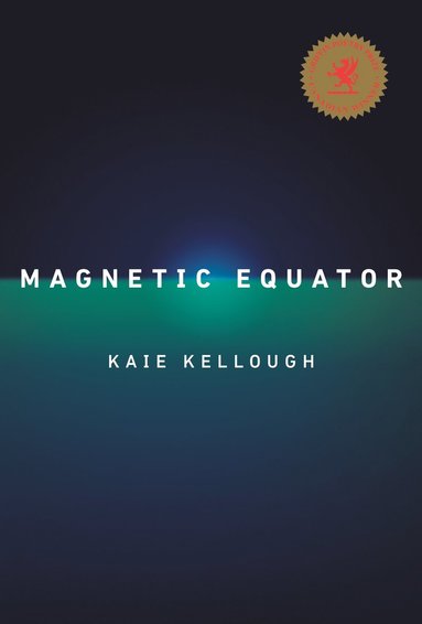 bokomslag Magnetic Equator