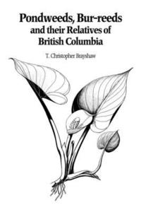 bokomslag Pondweeds, Bur-reeds and Their Relatives of British Columbia
