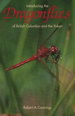 bokomslag Introducing the Dragonflies of British Columbia and the Yukon