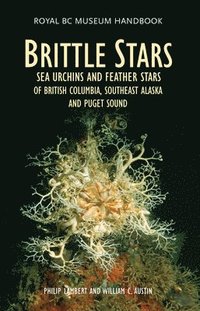 bokomslag Brittle Stars, Sea Urchins and Feather Stars of British Columbia, Southeast Alaska and Puget Sound