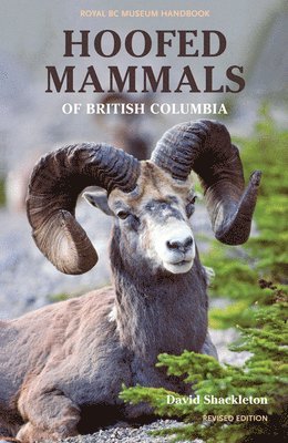 bokomslag Hoofed Mammals of British Columbia