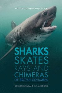 bokomslag Sharks, Skates, Rays and Chimeras of British Columbia