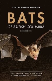 bokomslag Bats of British Columbia