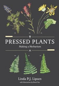 bokomslag Pressed Plants