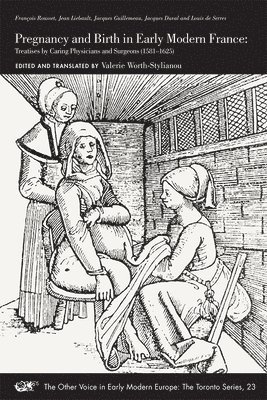 bokomslag Pregnancy and Birth in Early Modern France - Treatises by Caring Physicians and Surgeons (1581-1625)